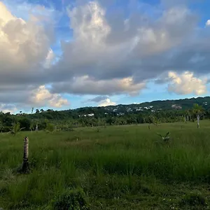caribbean-domicile.comcaribbean.com/
